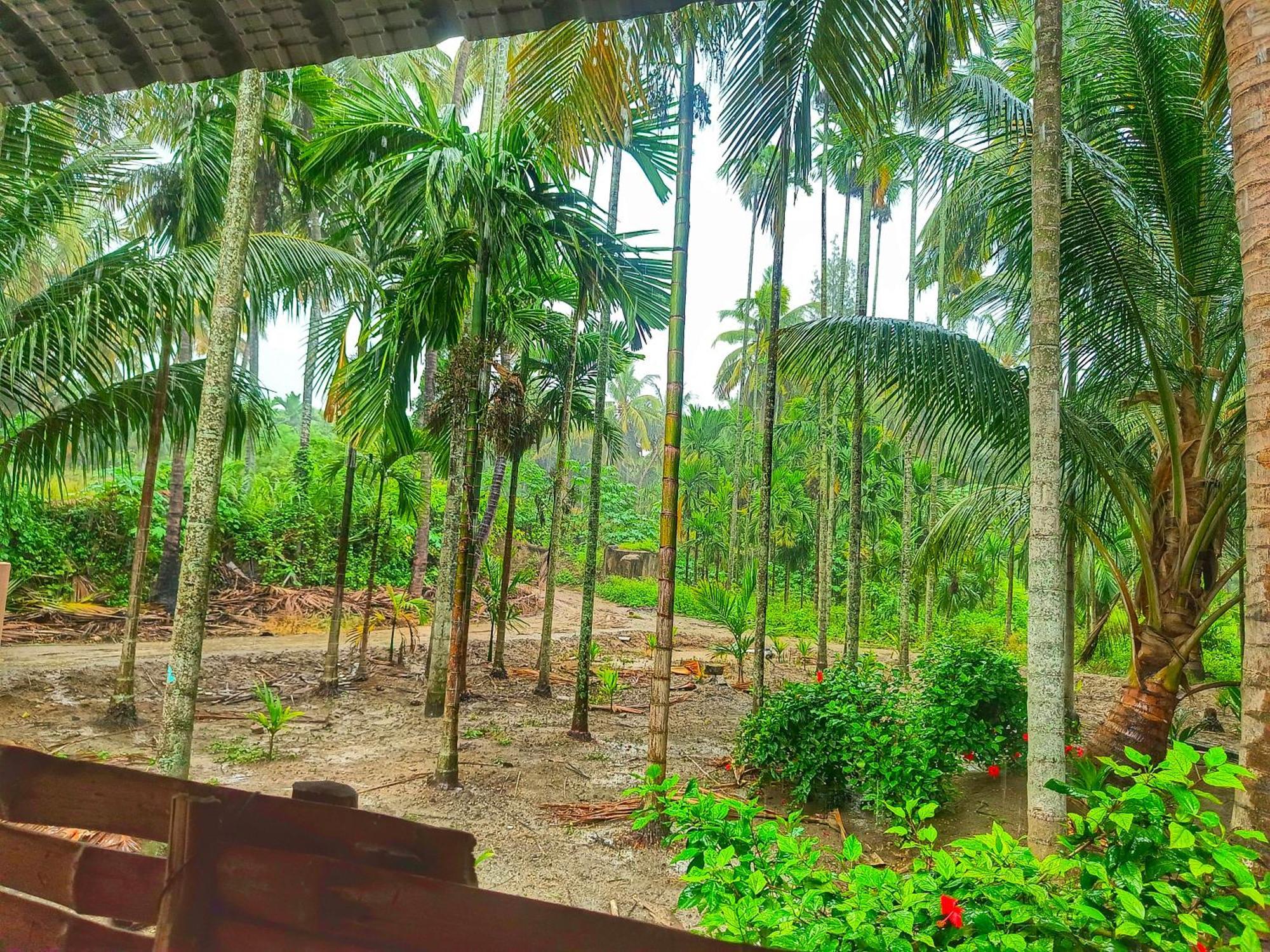 Shivalaya Farmstay Located Amdist Coconut Farm With River Access Near Isha,Adiyogi,Siruvani Alāndurai Extérieur photo