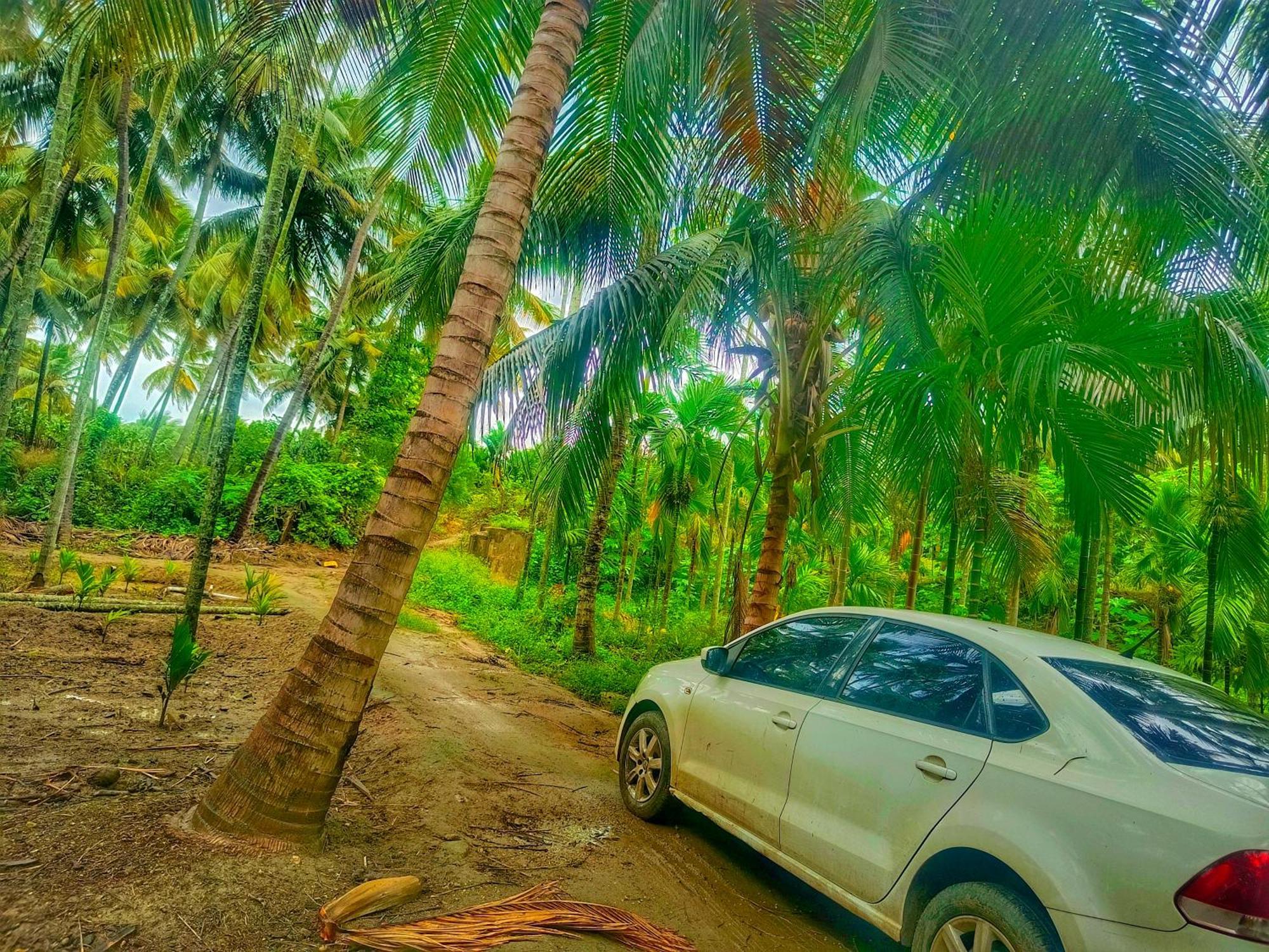 Shivalaya Farmstay Located Amdist Coconut Farm With River Access Near Isha,Adiyogi,Siruvani Alāndurai Extérieur photo